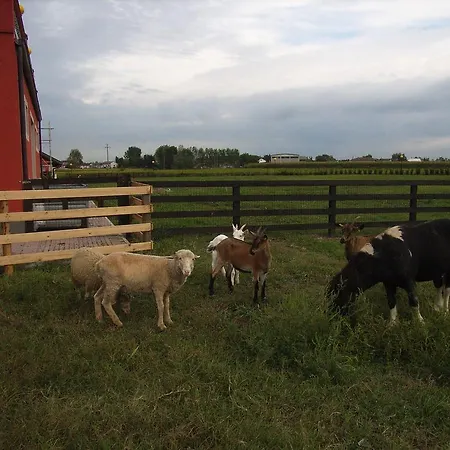 Tenuta Del Vecchio Mulino منزل ريفي Motta deʼConti