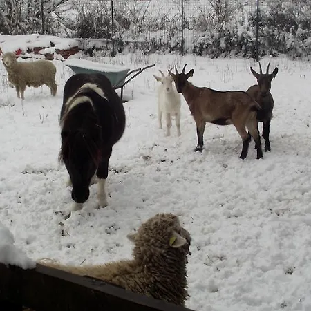 Tenuta Del Vecchio Mulino منزل ريفي *