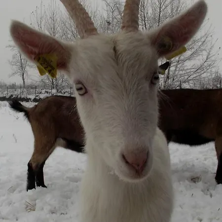 منزل ريفي Tenuta Del Vecchio Mulino